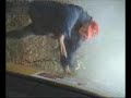 ukasz-sztuka-crash-elmot-rally-2001.html