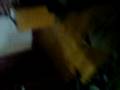 mah funny dog