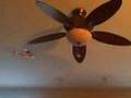Airhogs Havoc landing on ceiling fan