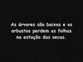 Trabalho Caatinga