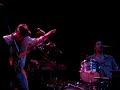 The Felice Brothers - Frankie's Gun