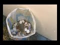 Processing household waste Processing household waste