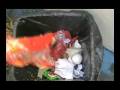 Processing household waste