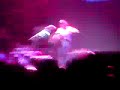 foo-fighters-live-in-perth.html