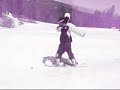 MAMMOTH PARK SESSION