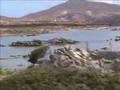 videos de Parco Nazionale Isola dell'Asinara