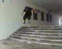Jorge - sw f.s Flip