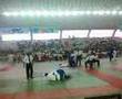 Love Judô Guaíra-sp (Kansetsu Waza)