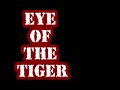 Eye Of The Tiger