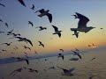 İngilizce dersinde yanımda bir kız oturuyordu onun için 'benim en iyi arkadaşım' diyordum... ama ben onun ipek gibi saçlarına bakıp onun benim olmasını istiyordum... Ama o bana benim ona baktığım gözle bakmıyordu bunu biliyordum, dersten sonra kalktı ve geçen gün sınıfta olmadığı için o günün notlarını istedi ona notları verirken bana teşekkür etti ve yanağımdan öptü. Onu sadece arkadaş olarak istemediğimi bilmesini istiyordum, onu çok seviyordum ama söyleyemiyordum nedenini bilmiyorum ama çok utanıyordum... 10. Sınıf Telefonum çaldı, arayan oydu ve ağlıyordu bana aşkın nasıl kalbini kırdığını anlattı, beni evine çağırdı, yalnız kalmak istemediğini söyledi, bende tabiki gittim, koltuğa, onun yanına oturdum, güzel gözlerine bakmaya başladım ve onun benim olmasını diledim, 2 saat sonra Drew Barrymore'un bir filmi başladı ve onu izledik filmi izledikten sonra uyumaya karar verdi, bana her şey için teşekkür etti ve yanağımdan öptü. Onu sadece arkadaş olarak istemediğimi bilmesini istiyordum, onu çok seviyordum ama söyleyemiyordum nedenini bilmiyorum ama çok utanıyordum... Son Sınıf Mezuniyet balosundan bir gün önce yanıma geldi ve 
