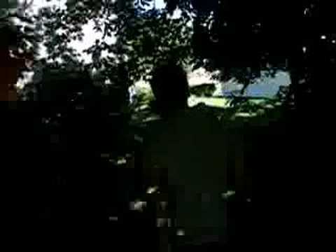 Midwest Locust Plague!