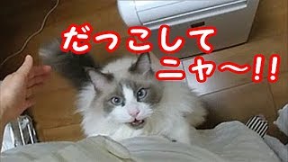 相談7632に関連する動画