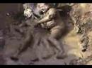 mud and Mastiff