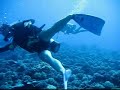 Bora Bora Scuba Diving &amp; Snorkeling