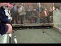Pontelandolfo Bocce Tournament, Waterbury CT 2008