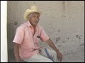 El ganado perdido