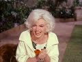 marilyn monroe trying to film a scene with a dog from her last and uncomplete movie something's got to give in 1962.