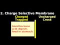 Ion Trapping Pharm Intro Tutorial: Aspirin weak acid, charge selective membrane