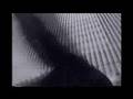 Speed Levitch: A World Trade Center Poem