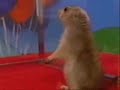 Dramatic Chipmunk - Windows Edition