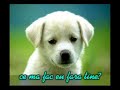 Te caut, mi-e dor de tine...unde esti?