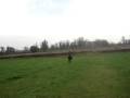 videos de Bilard
