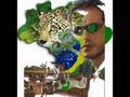 brasil