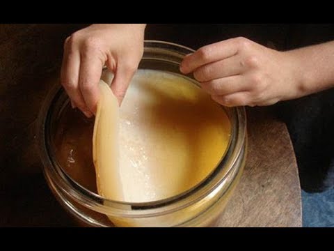 Kombucha: ¿una bebida peligrosa?