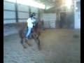 videos de Fancy Bucking