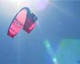 Nederlands Kampioenen Kitesurfen op Bonaire