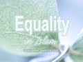 Lesson 03 : Equality in Islam