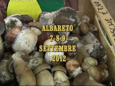 Immagine anteprima YouTube
