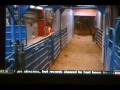 NFR Barrel Racing Round 6