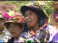 Chimaycha De Chacralla - Zorsalito
