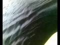 lowtown in flood