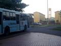 TCGL 1136