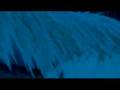 Donald Duck - Noah´s Ark