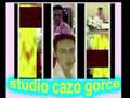 ErViN-BaShI MaNgE To VaS CiNgAn STUDIO CAZO GORCE