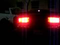 videos de TRANS AM