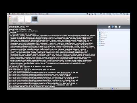 how to set pptp vpn on android