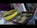 Lasagna ricotta e spinaci!