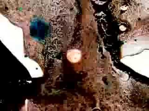 Cytokinesis - Visual Dada