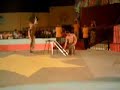 رحلات المتحدة للخدمات السيرك القومي والعرض الروسي مطروح.wmv