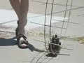 Live steam hamster wheel