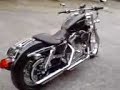 my sportster
