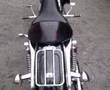 my sportster