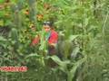 Foto v�deo