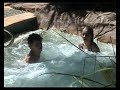 Currumbin Sands Gold Coast Accommodation