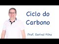 Ciclo do carbono e efeito estufa