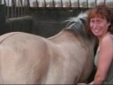 Satge Adulte 2008